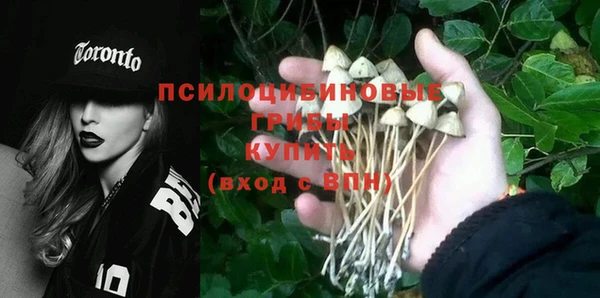 шишки Нефтекумск