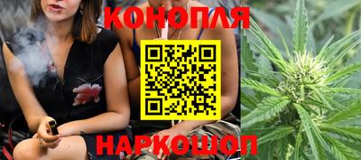 крисы Балаково