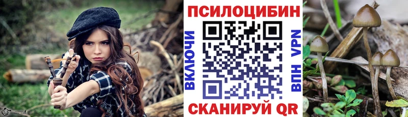 Галлюциногенные грибы Psilocybe  кракен вход  Новоуральск 