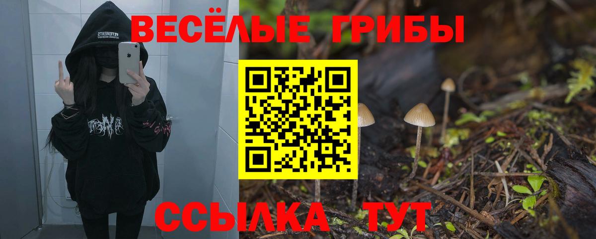 Новоуральск  Псилоцибиновые грибы Psilocybe  Псилоцибиновые грибы мицелий  Вход с VPN 